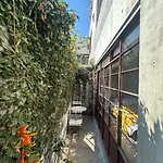 Stylish Apartment In Chapultepec