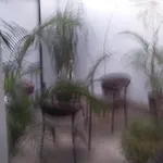 El Meson Del Ruso