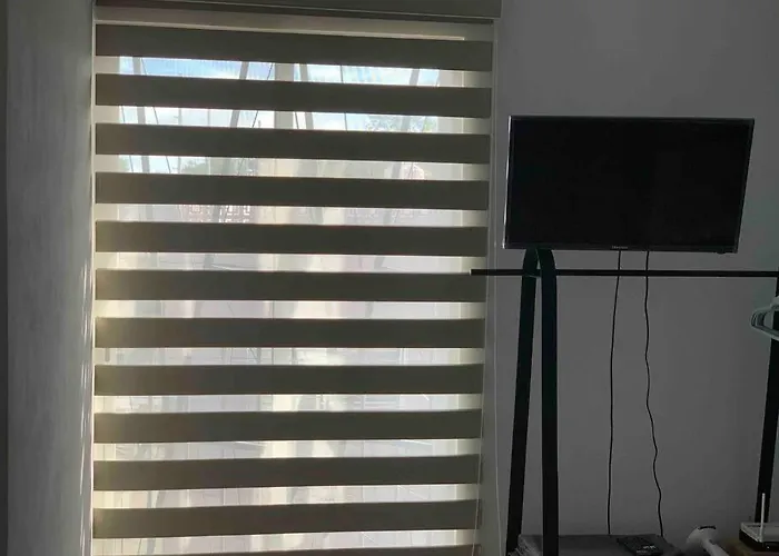 Loft Venado “Hospicio Cabanas Y Centro Joyero”