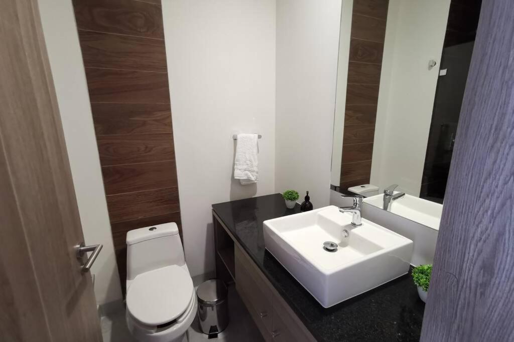 Apartamento Departamento De Lujo Gdl Zona Minerva, Piso 8,excelente Vista Guadalajara