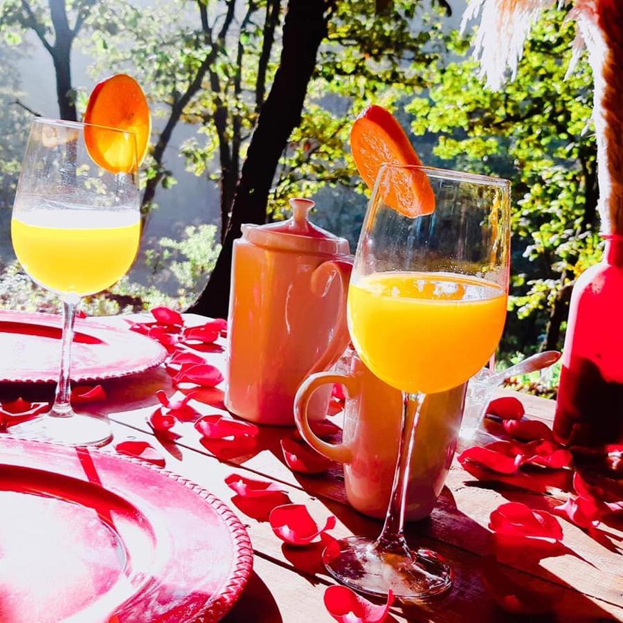 Luxury tent Glamping Y Cenas Romanticas