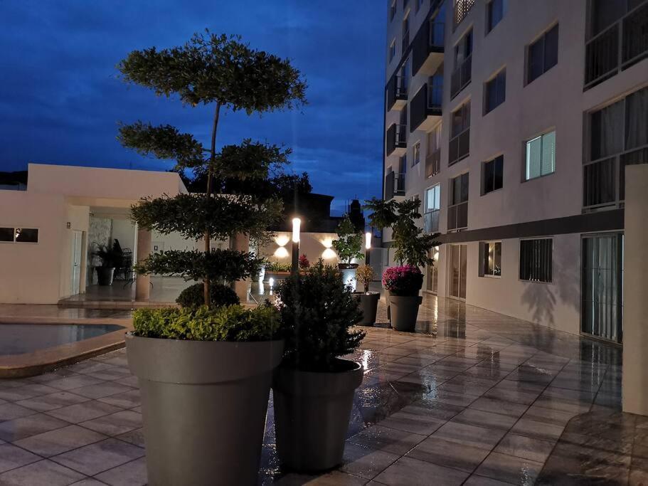 Tu Joya Y Tu Perla Tapatia - Ac, Alberca, Gym En El Corazon De Guadalajara