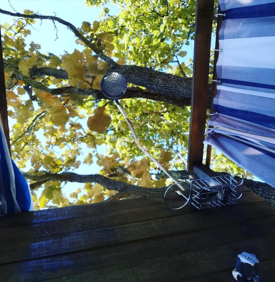 Glamping Y Cenas Romanticas