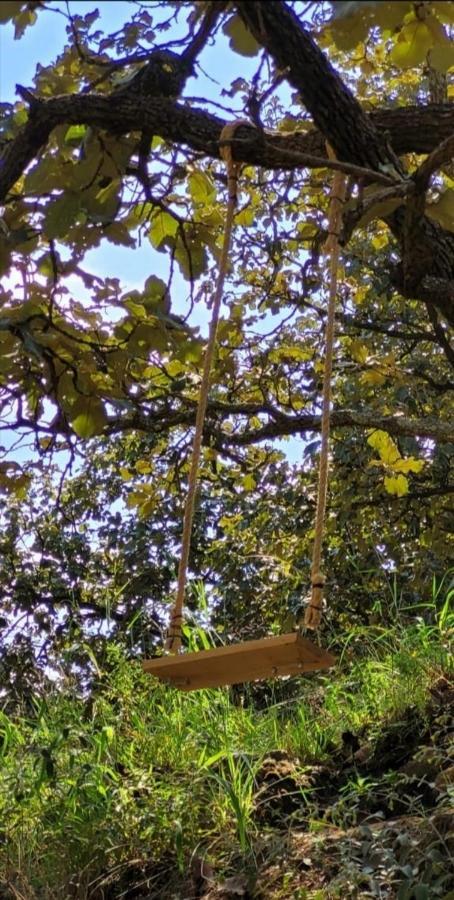 Glamping Y Cenas Romanticas * Guadalajara