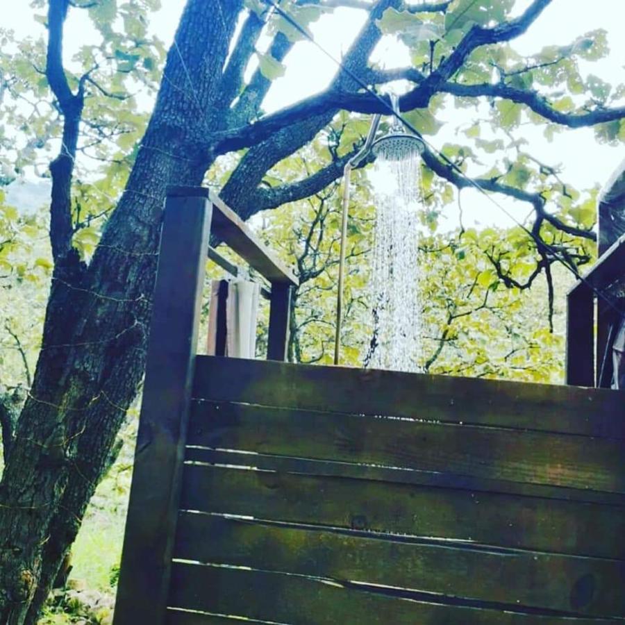 Glamping Y Cenas Romanticas Luxury tent Guadalajara