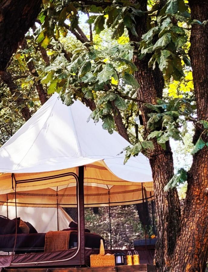 Luxury tent Glamping Y Cenas Romanticas *