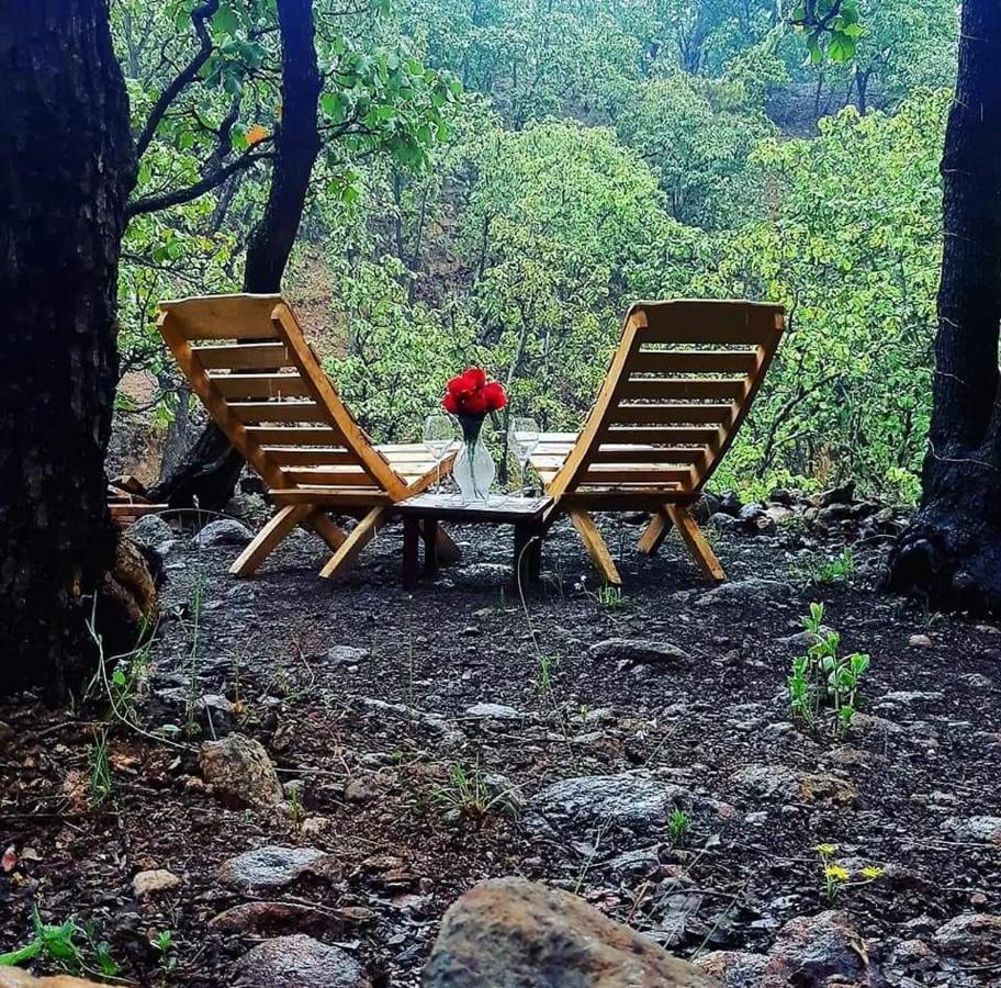 Luxury tent Glamping Y Cenas Romanticas Guadalajara