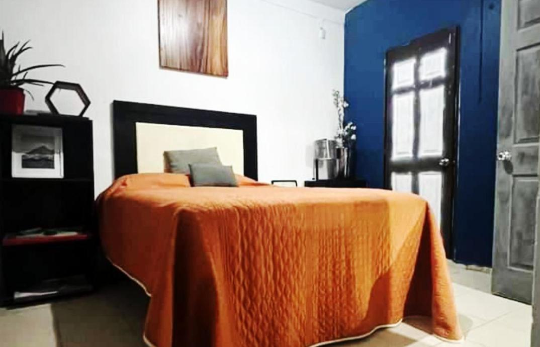 Bugambilias Departamentos Lukasa Guadalajara