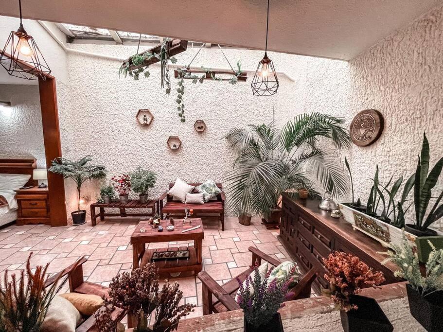 Hermoso Loft Cerca De Chapultepec *