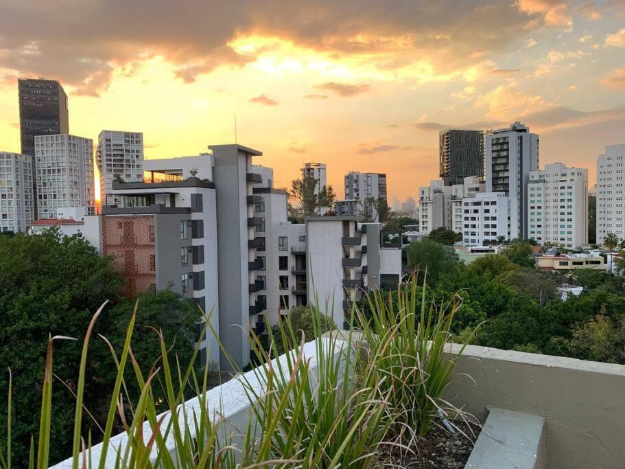 Apartamento Elegante En Zona Financiera / Limpieza Diaria *