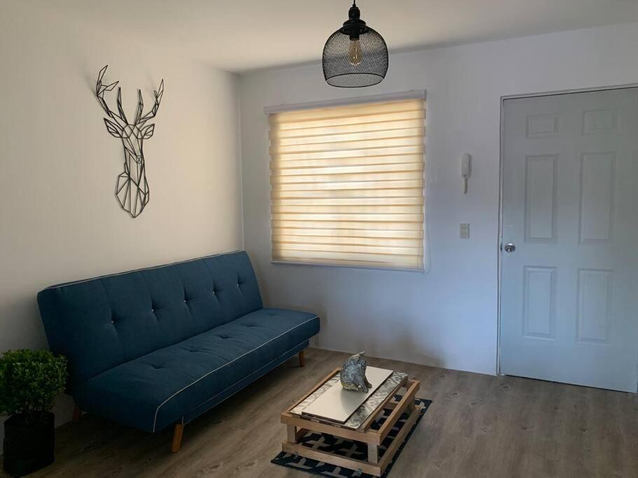 Loft Venado “hospicio Y Centro Joyero” *