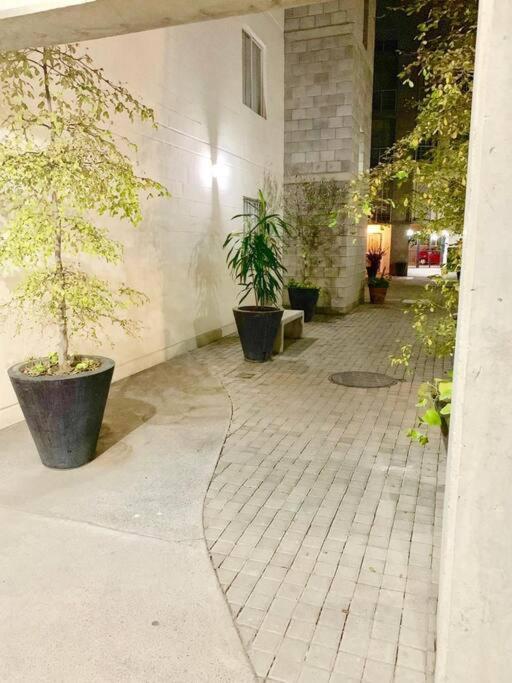 Apartamento Loft Venado “hospicio Y Centro Joyero” Guadalajara