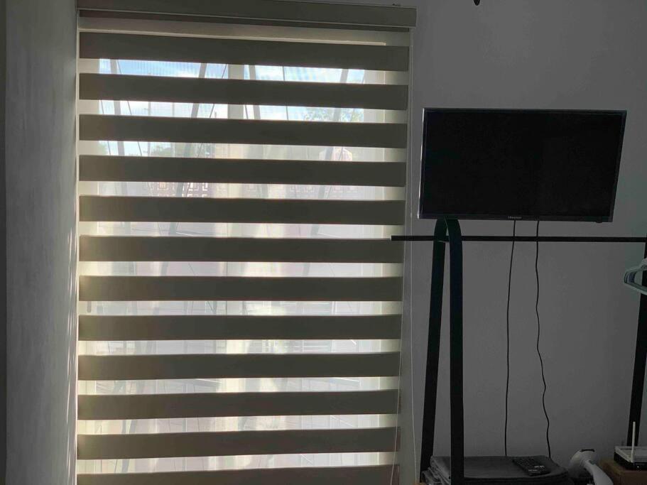 Loft Venado “hospicio Y Centro Joyero” *