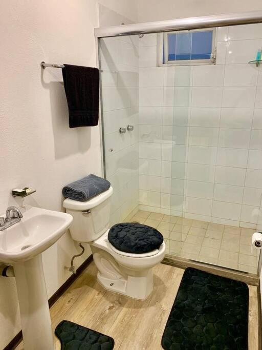 Loft Venado “hospicio Y Centro Joyero” *
