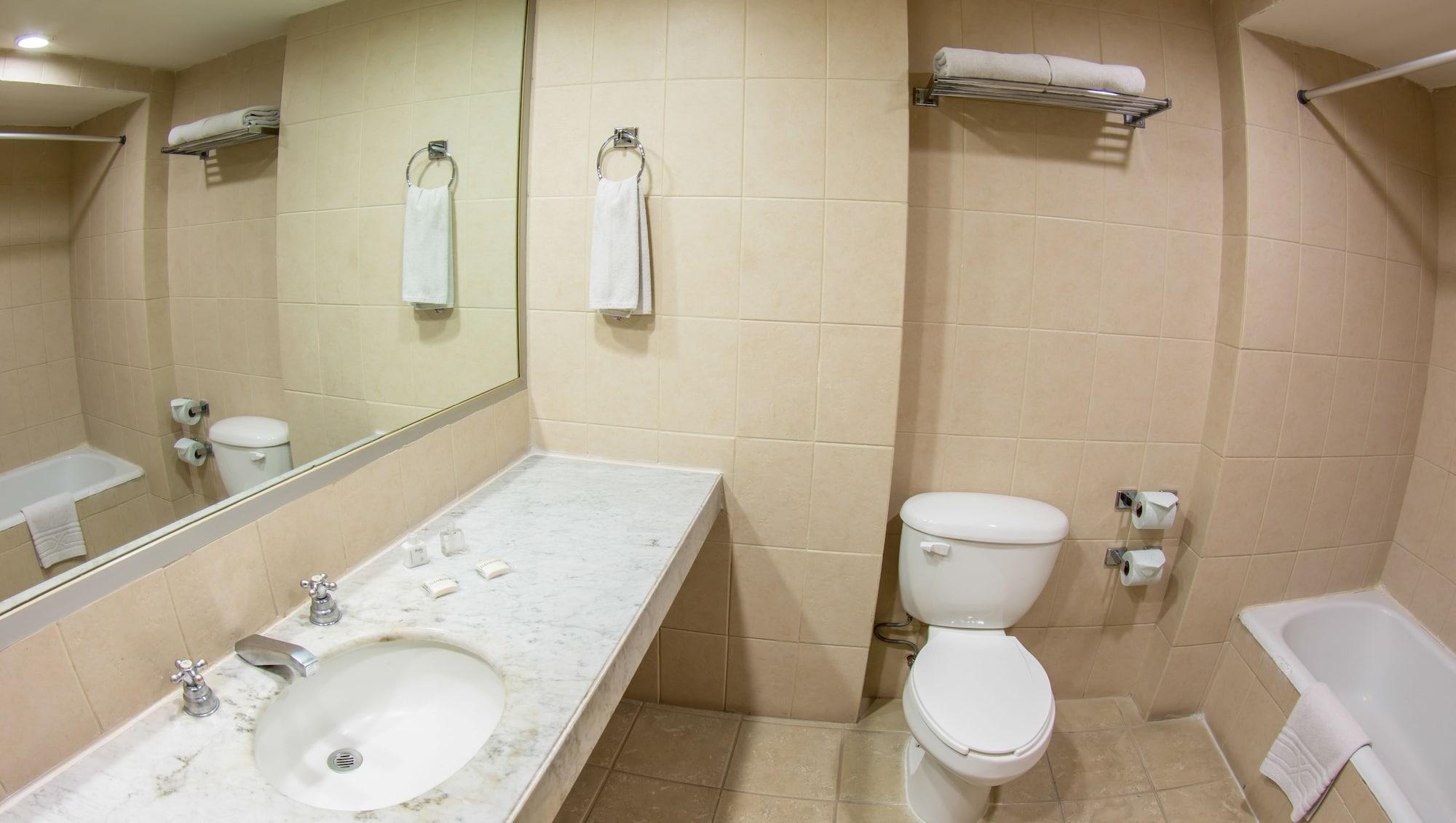 Hotel Fenix Guadalajara