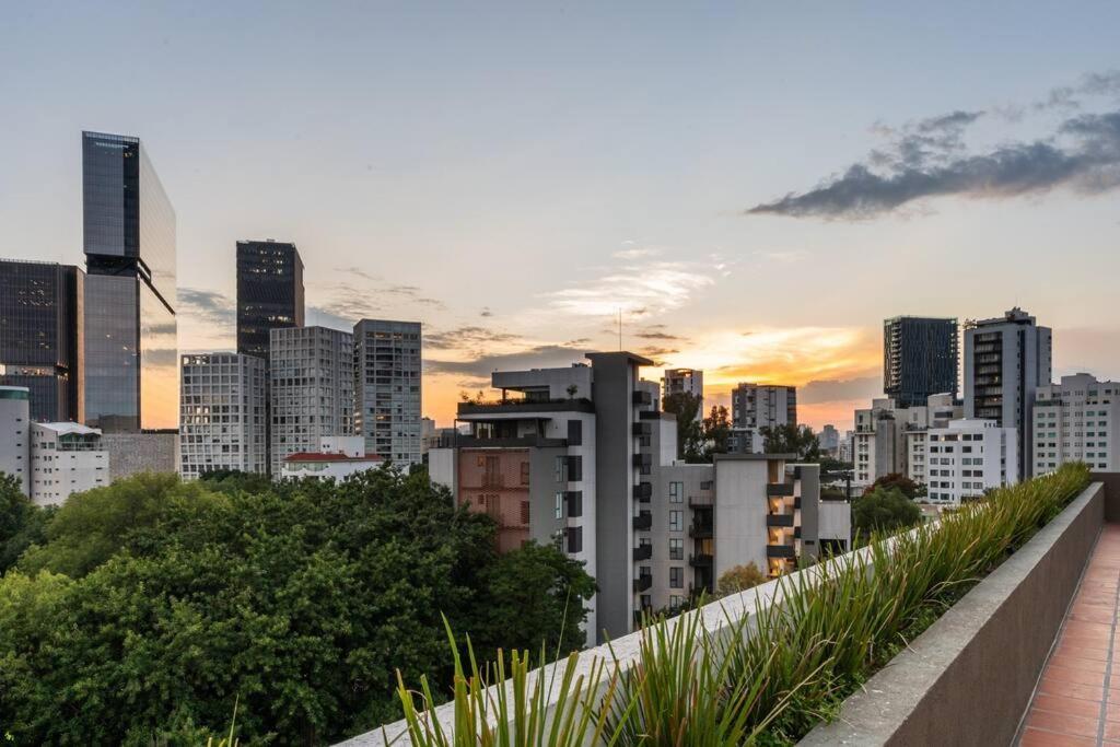 Amazing View With Roofgarden