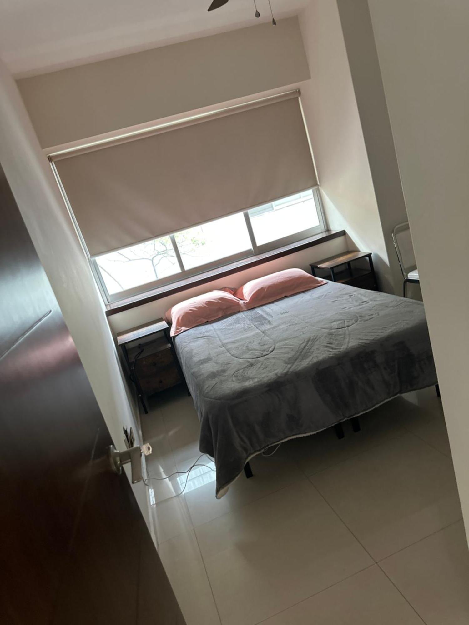 Apartamento Av De Rosas *