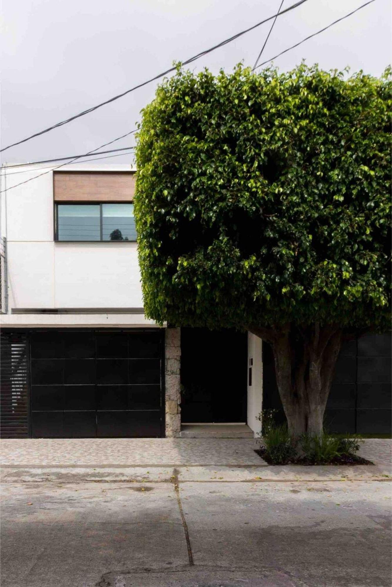 Apartamento Belmali Zen, Lujo Y Confort/jacuzzi Privado A.c. . Guadalajara
