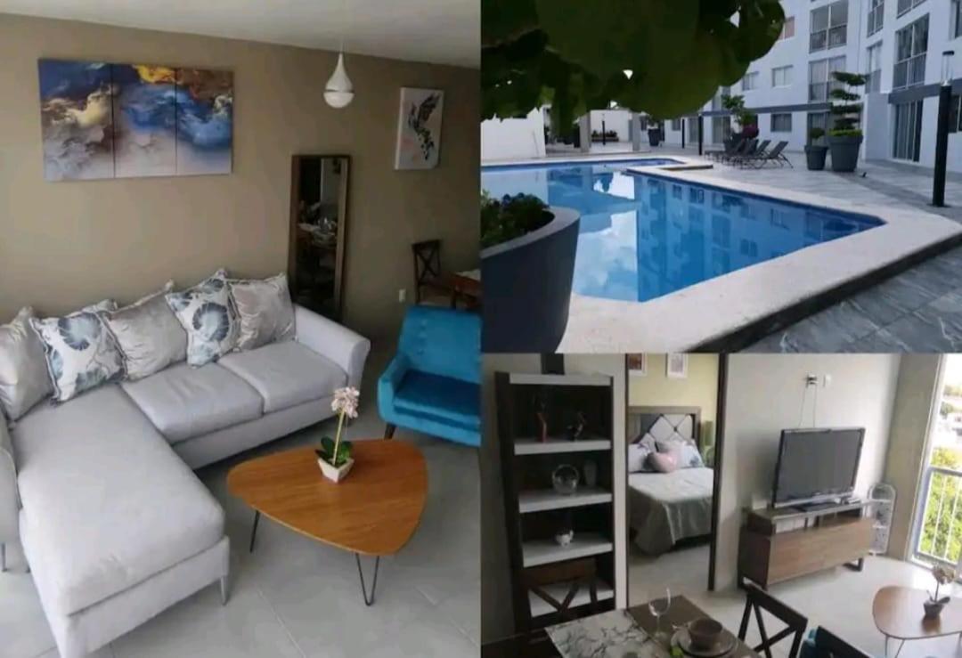 Tu Joya Y Tu Perla Tapatia - Ac, Alberca, Gym En El Corazon De Apartment