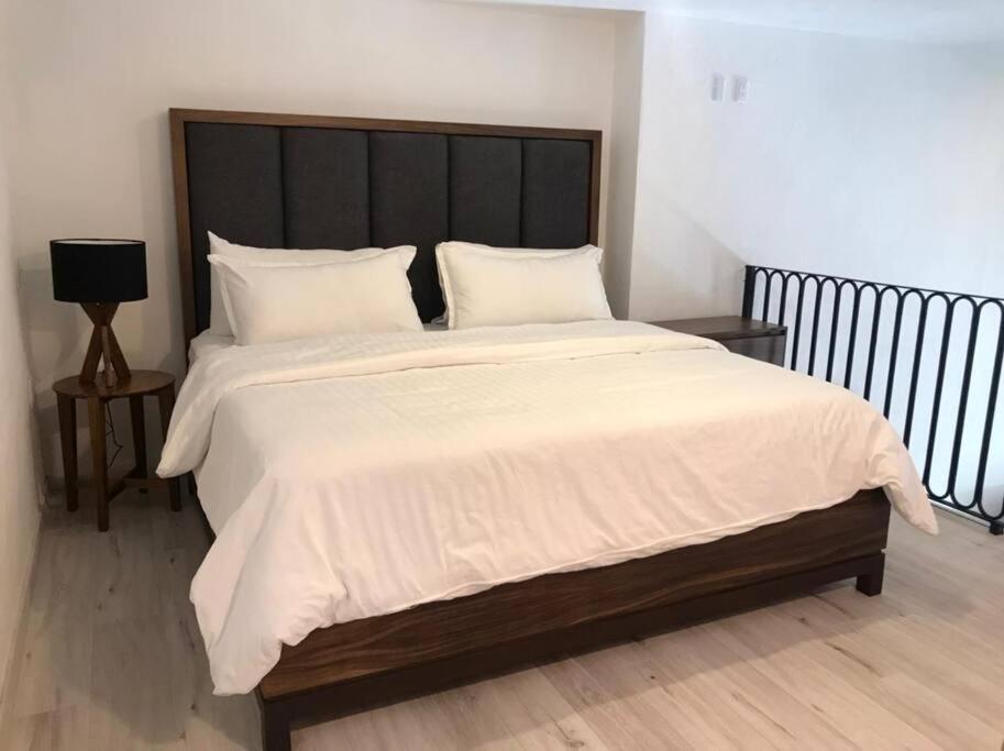 Apartamento Casa Monarcas - Isabella Guadalajara