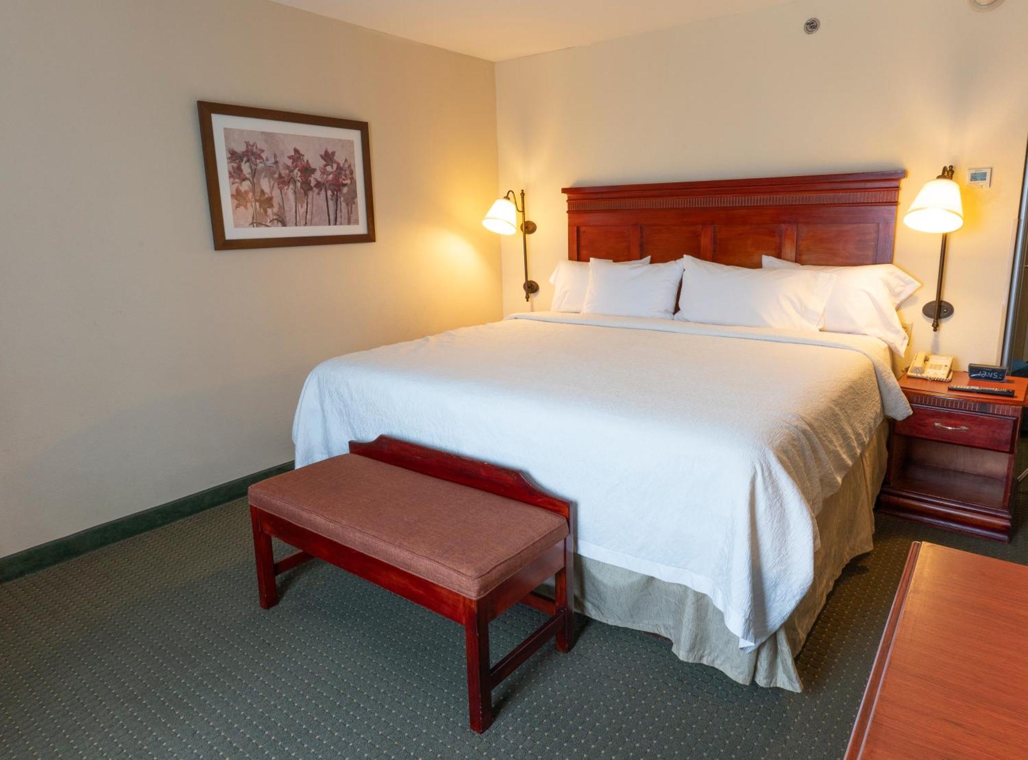 Hampton By Hilton Guadalajara-aeropuerto 3* Las Pintas