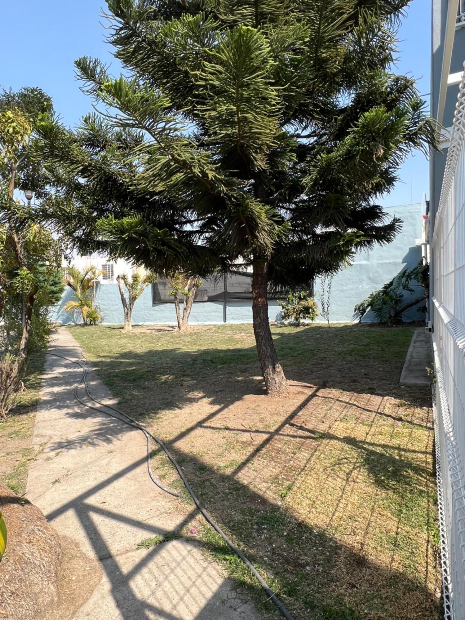Casa Petfriendly Bosque De La Primavera Holiday home