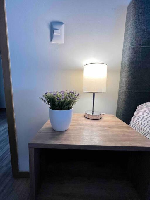 Brand New Stylish, Chapultepec, Gym,100mb Internet * Guadalajara
