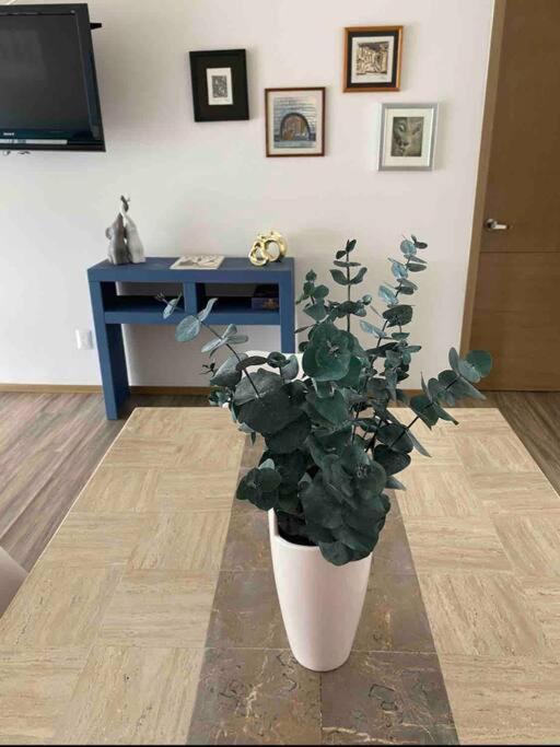 Brand New Stylish, Chapultepec, Gym,100mb Internet