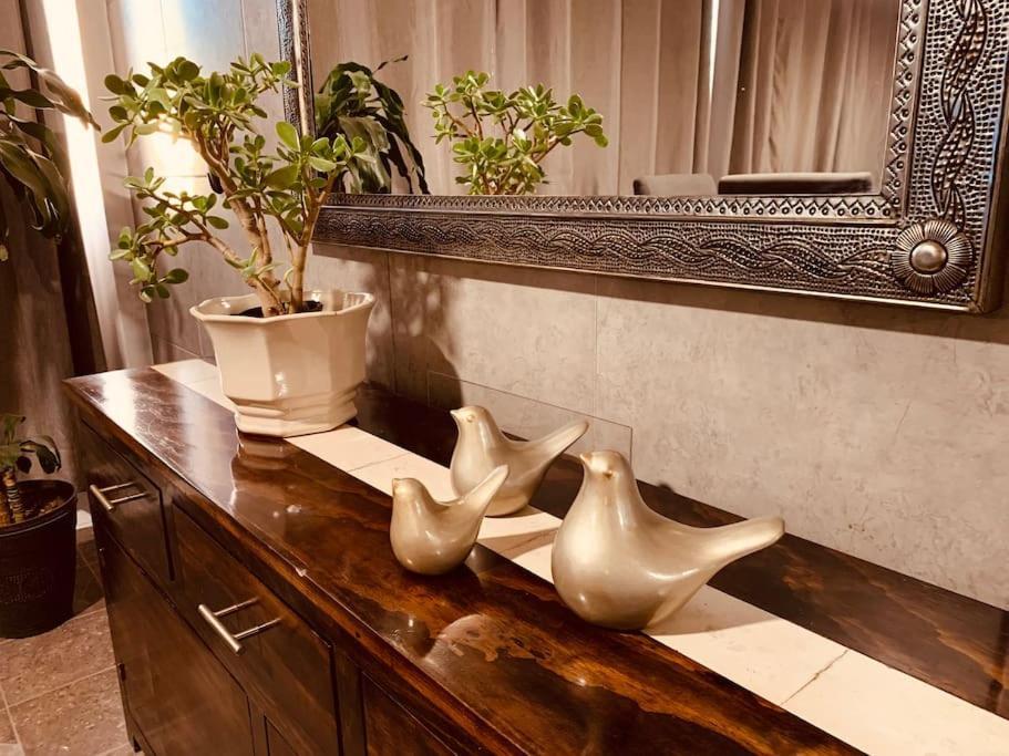 Casa San Pedro Apartment Guadalajara