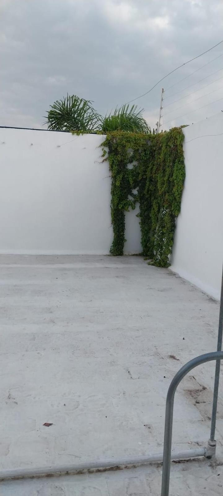 Luz Divina Providencia Apartamento