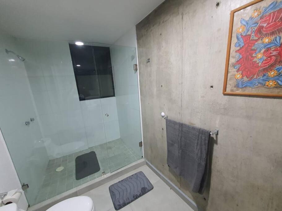 Departamento Centrico Acogedor Y Tranquilo Guadalajara