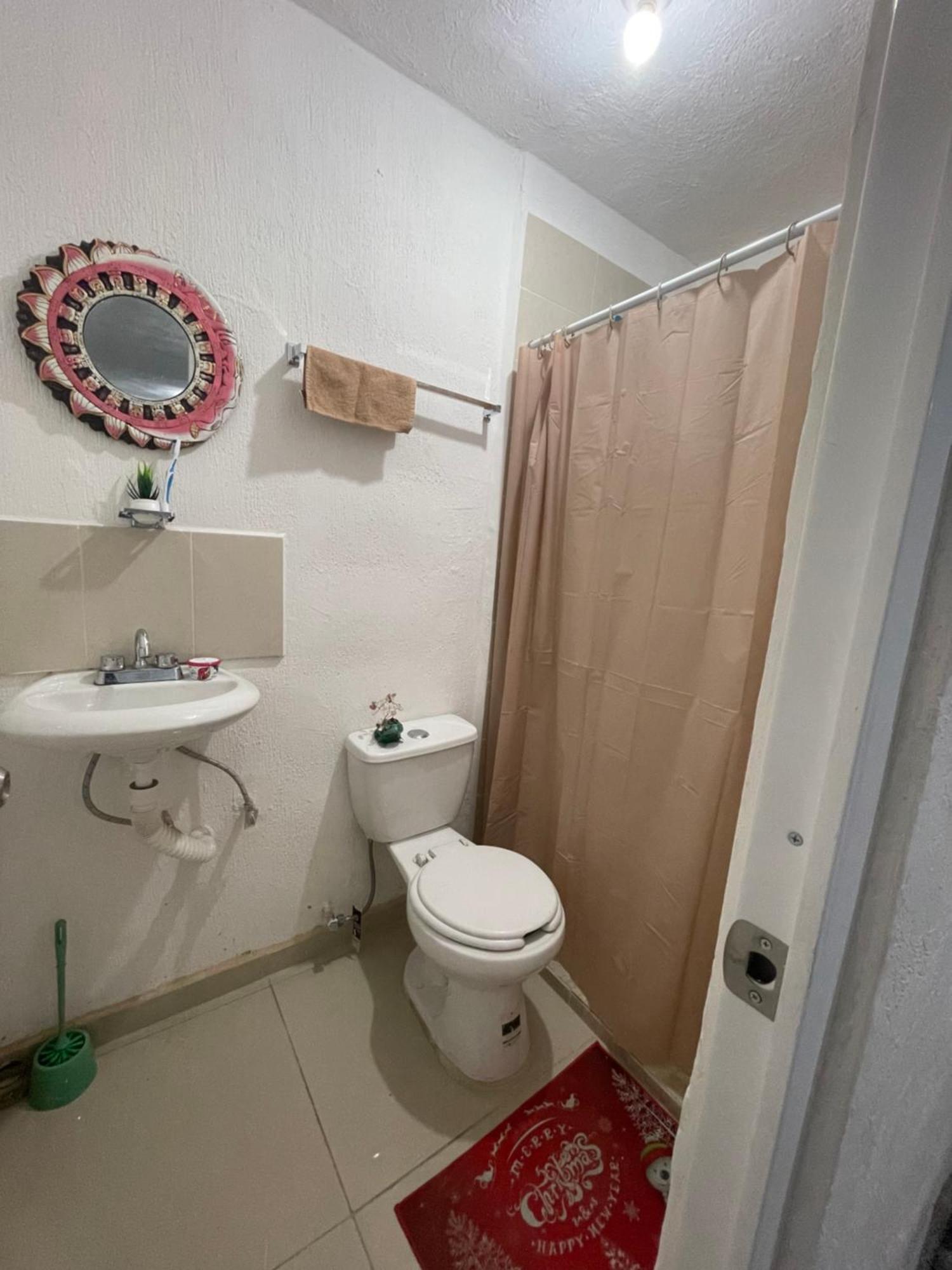 Homestay Luna House