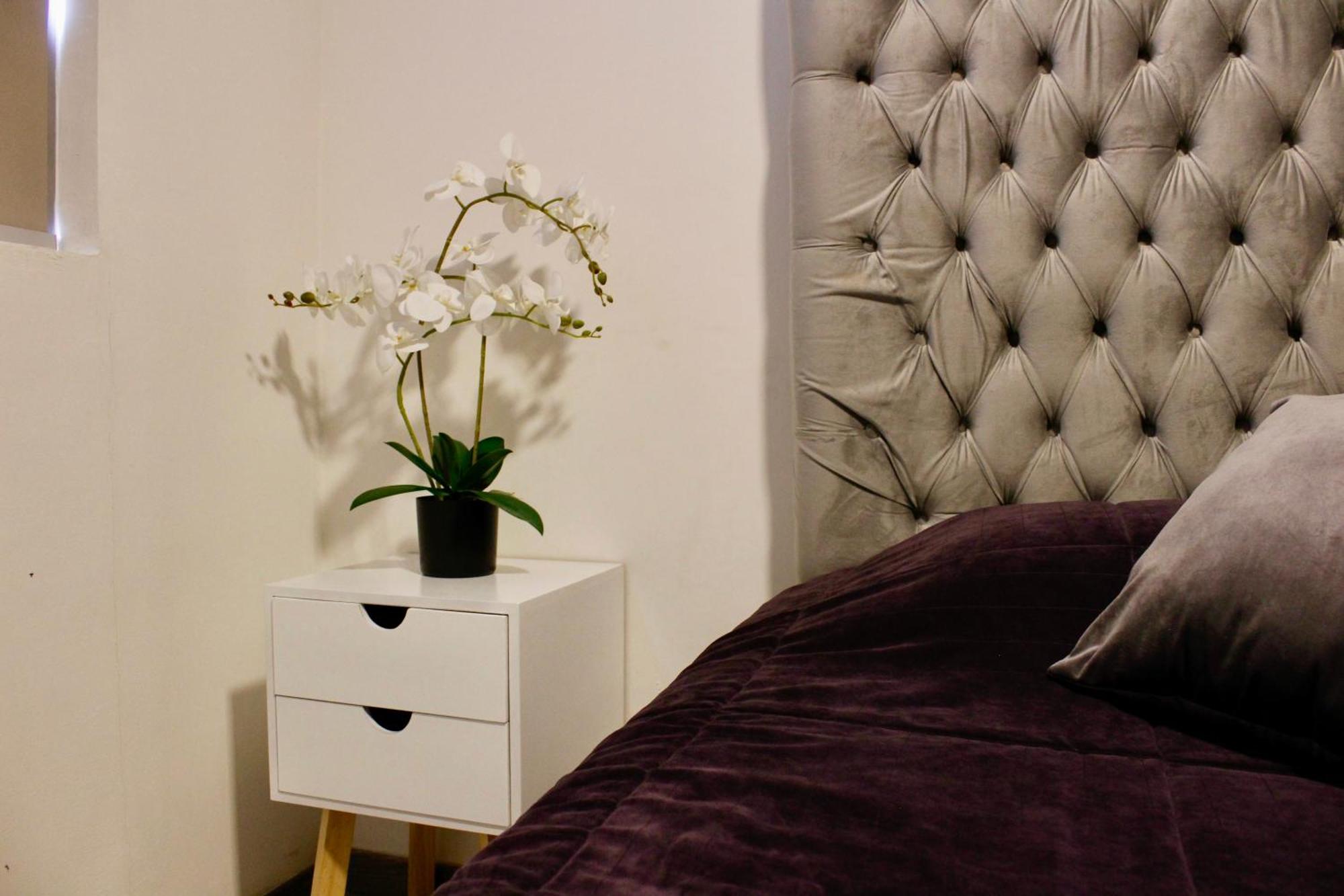 Apartamento Depa/alberca En Centro Historico *