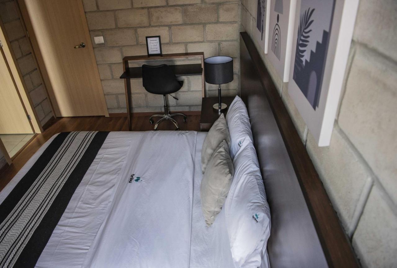 Apartamento Modern Design Loft Wgym Coworking 2 Bd Tribu Colon 412 *