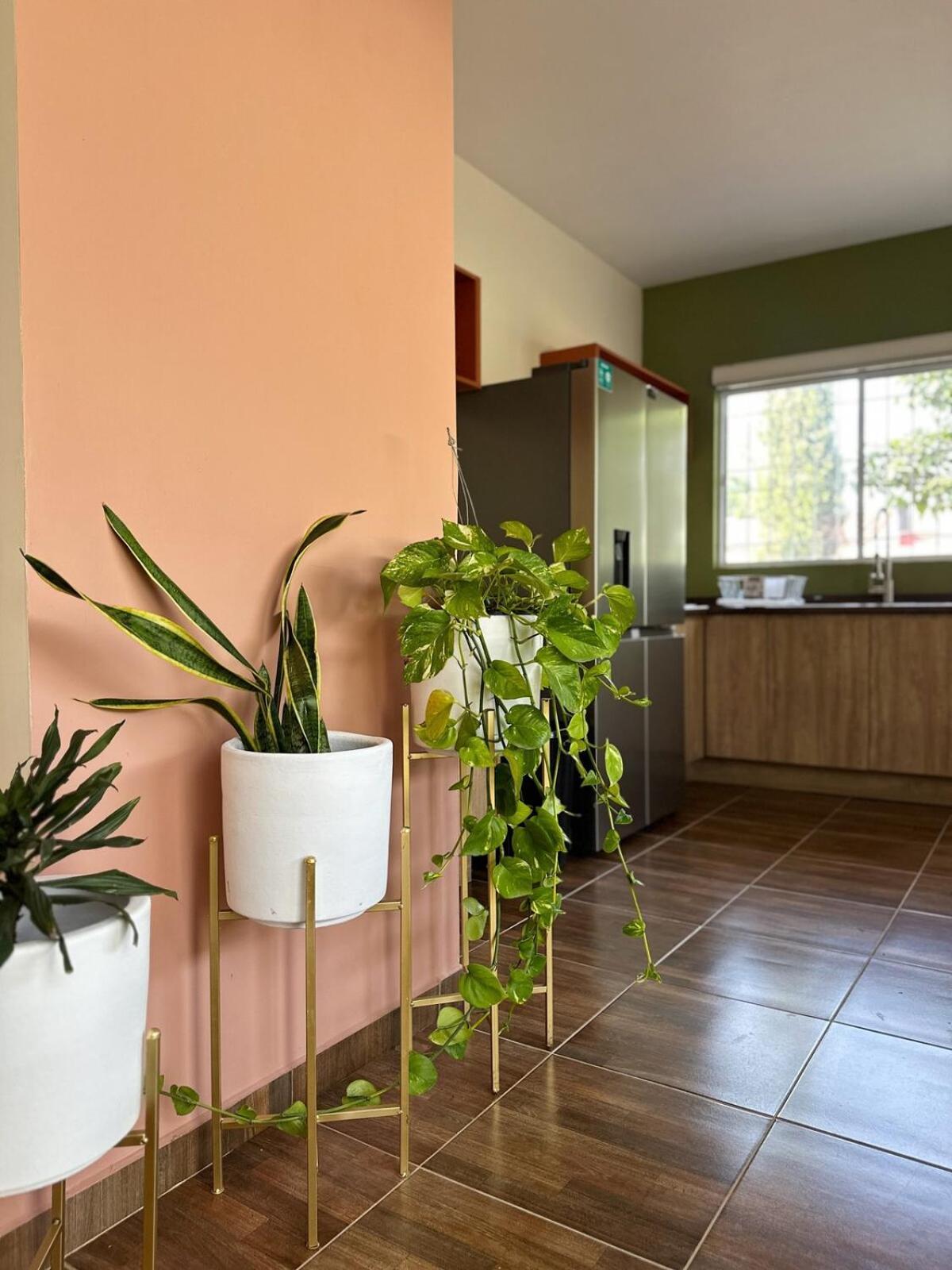 Apartamento Casa Membrillo In Tlaquepaque Guadalajara