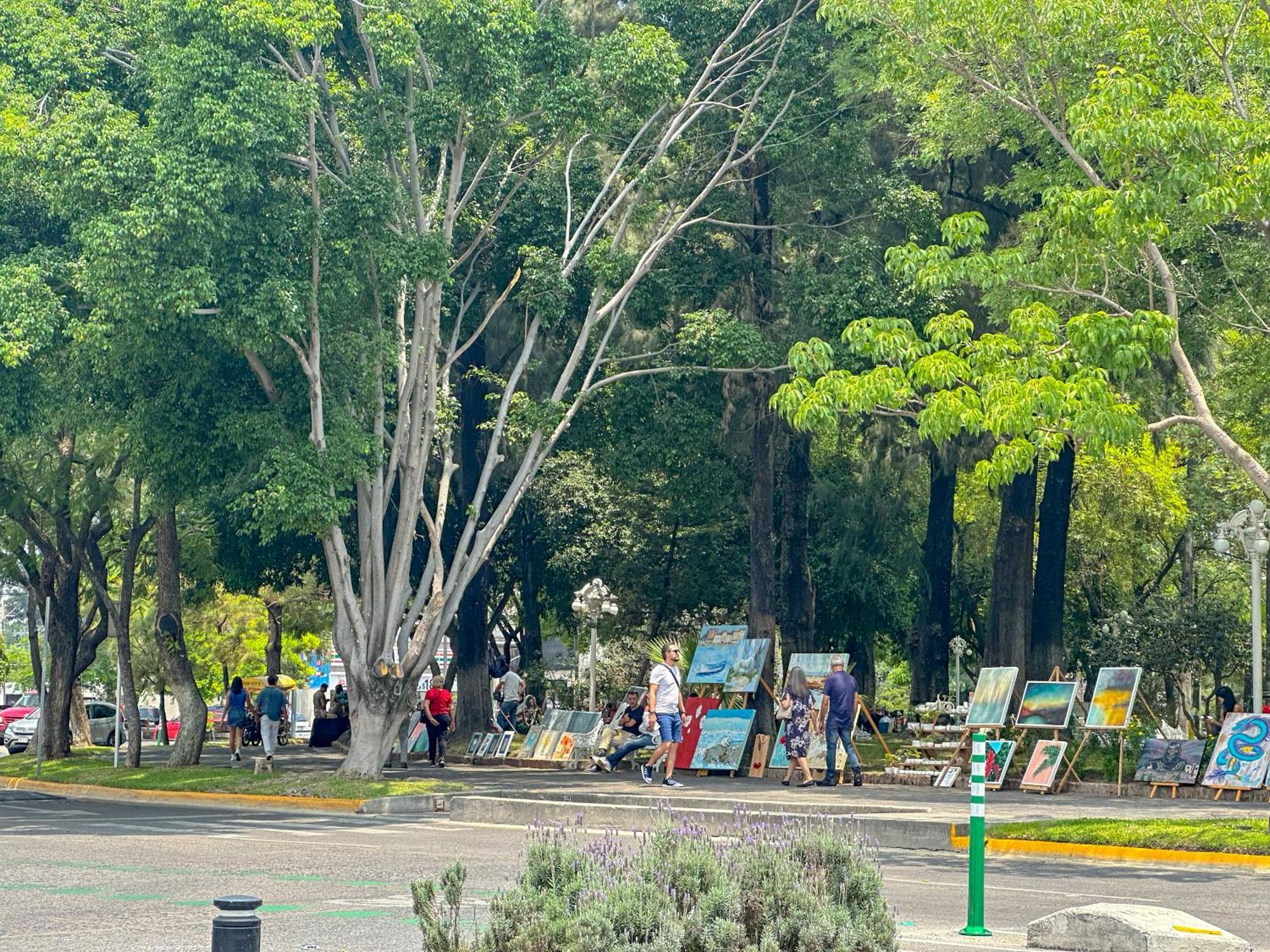 Apartamento Chapalita, Subterránea De Dos Pisos Guadalajara