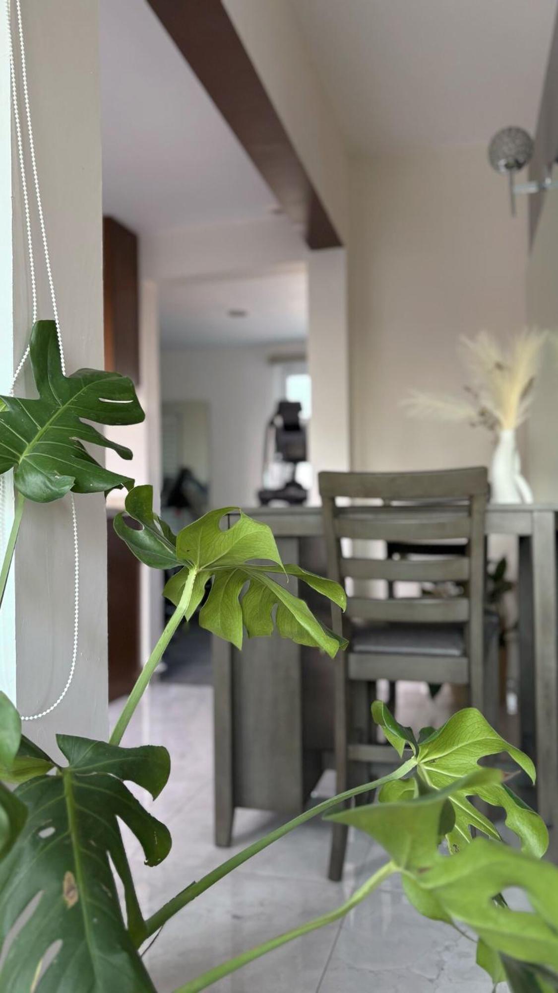 Penthouse Near Expo Apartamento Guadalajara