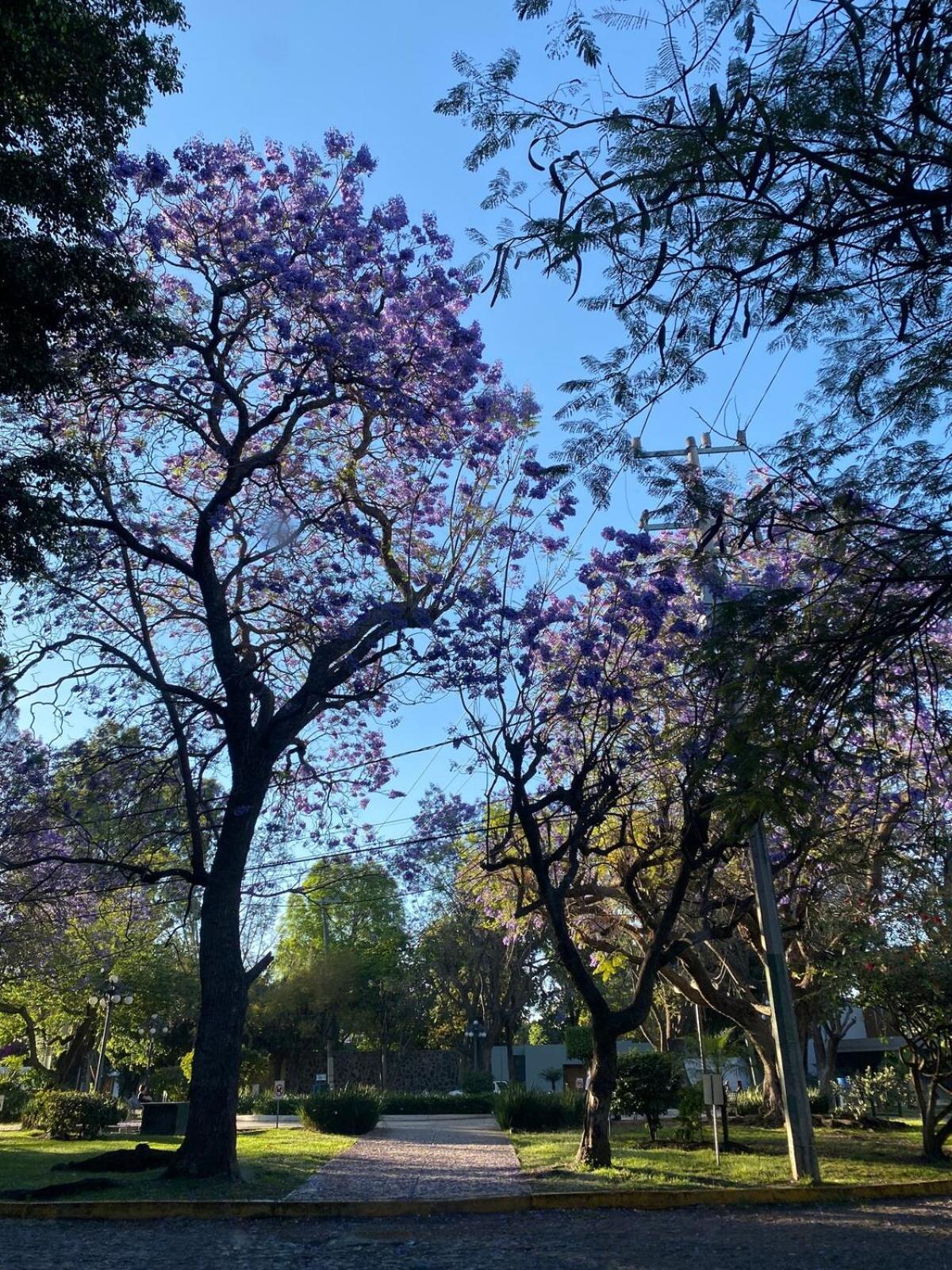 Casa Amueblada En Zapopan *