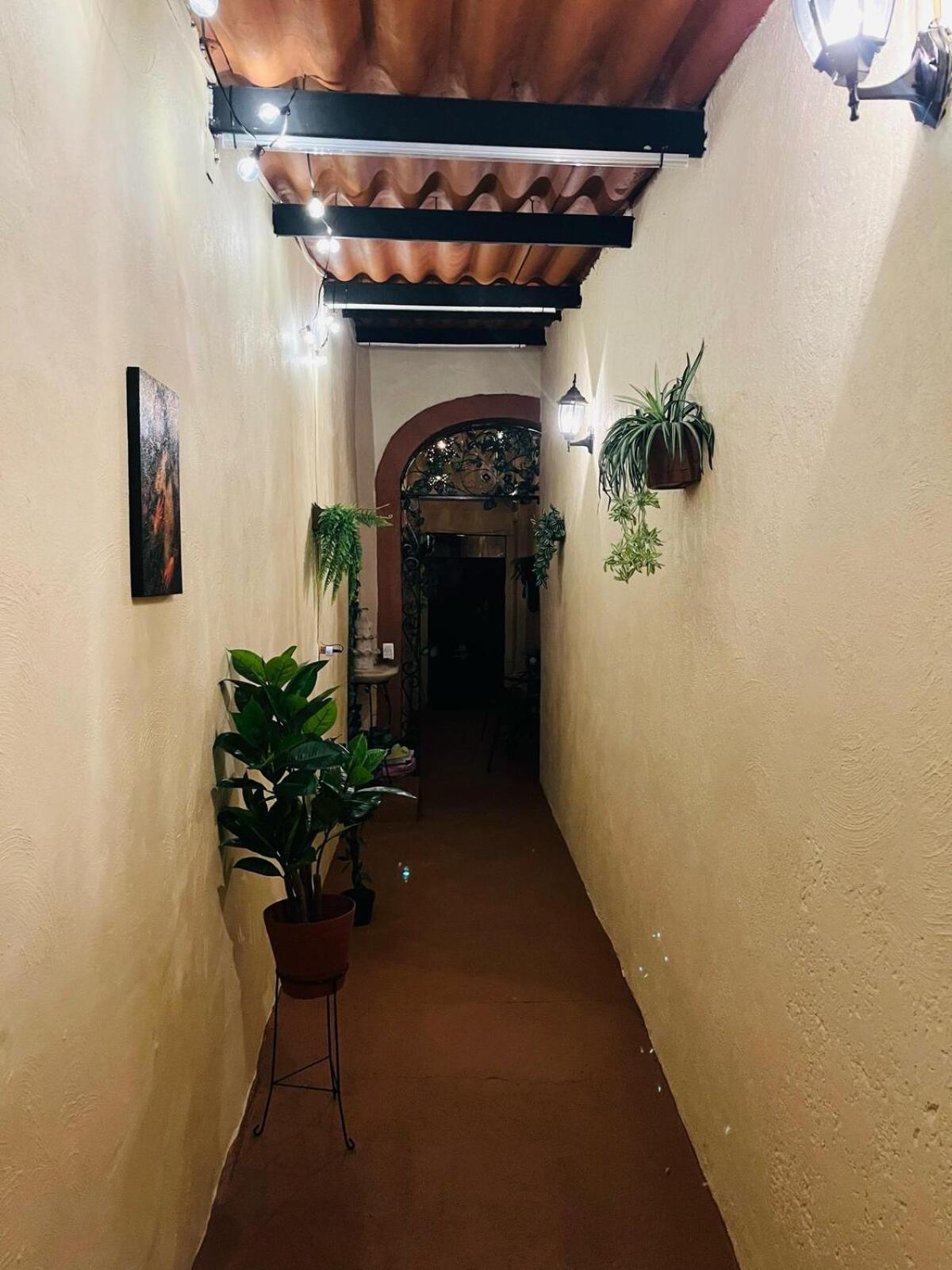 New In Downtown Apartment Guadalajara