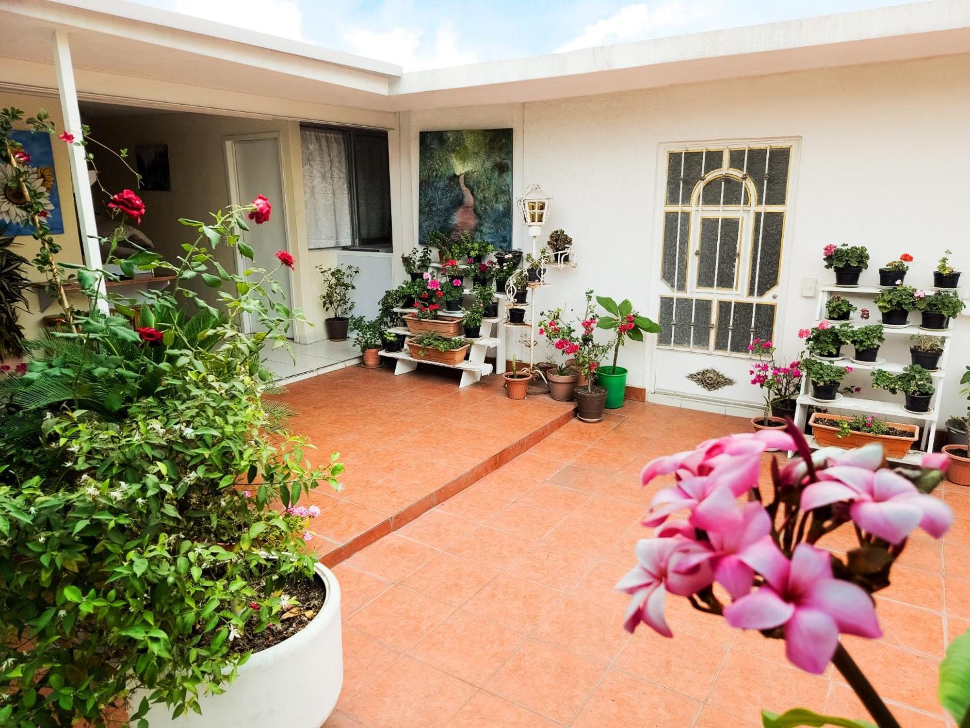 Esquina Del Pintor Homestay