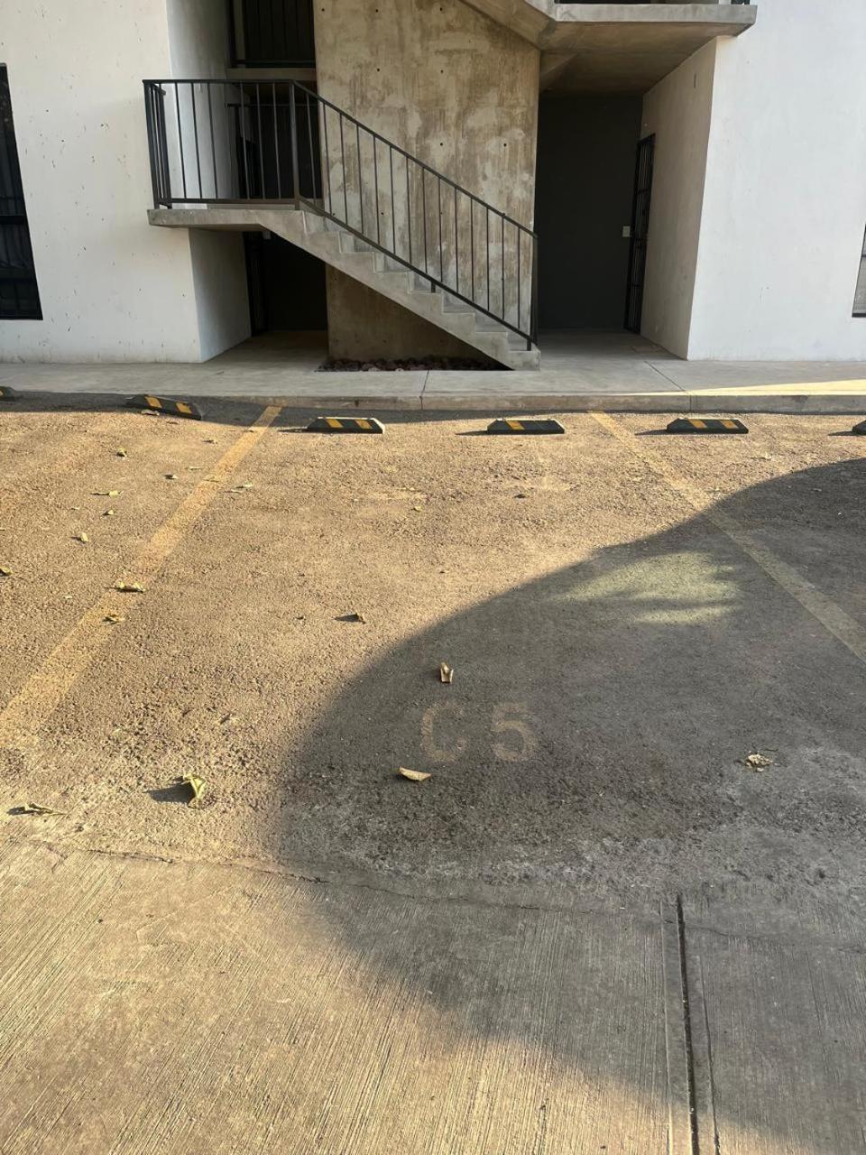 Departamento Nuevo Completo Zoologico Gdl * Guadalajara