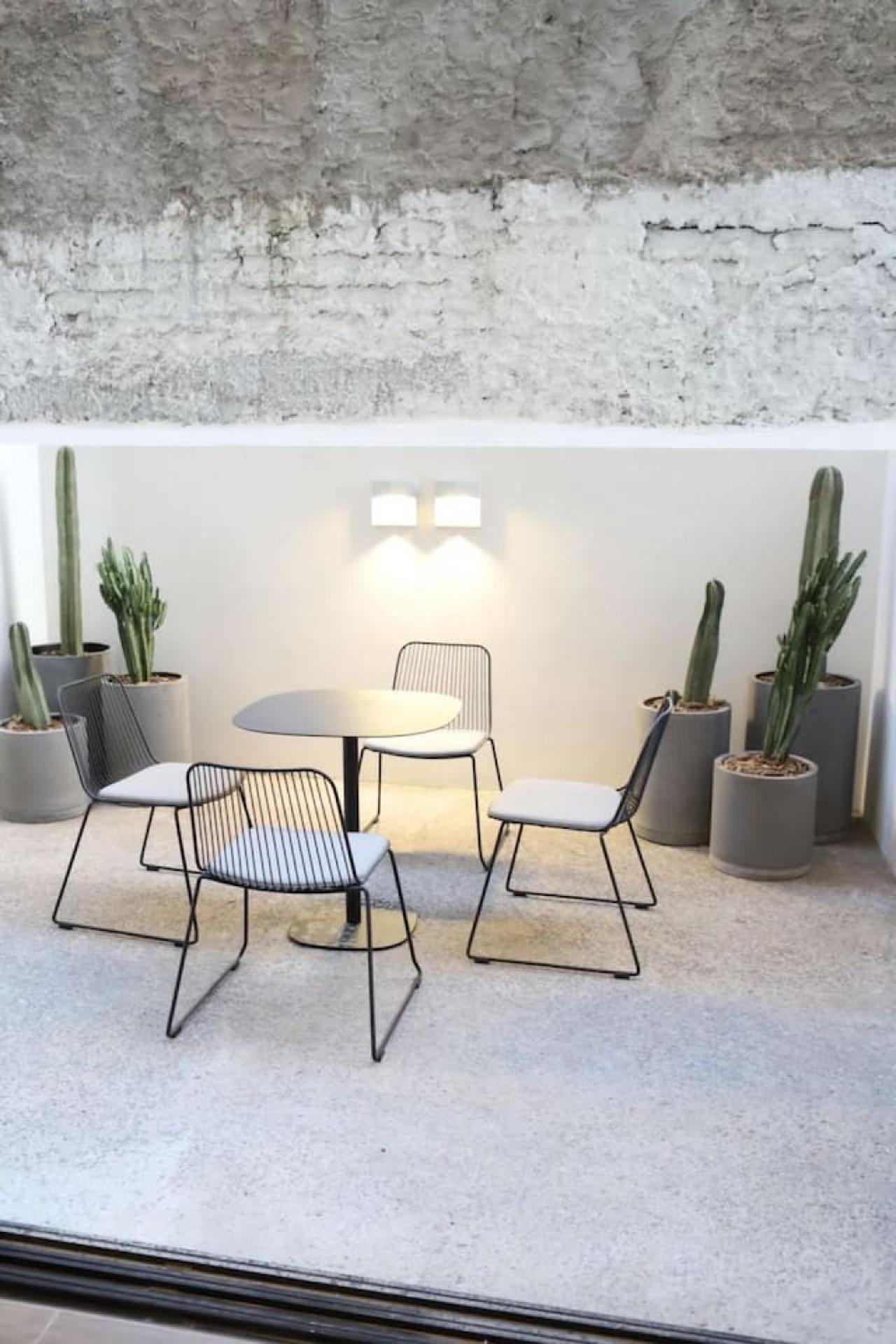 Loft Elegante C Patio Cowork Y Terraza 1 Bd P Panamericano By Tribu Apartamento Guadalajara