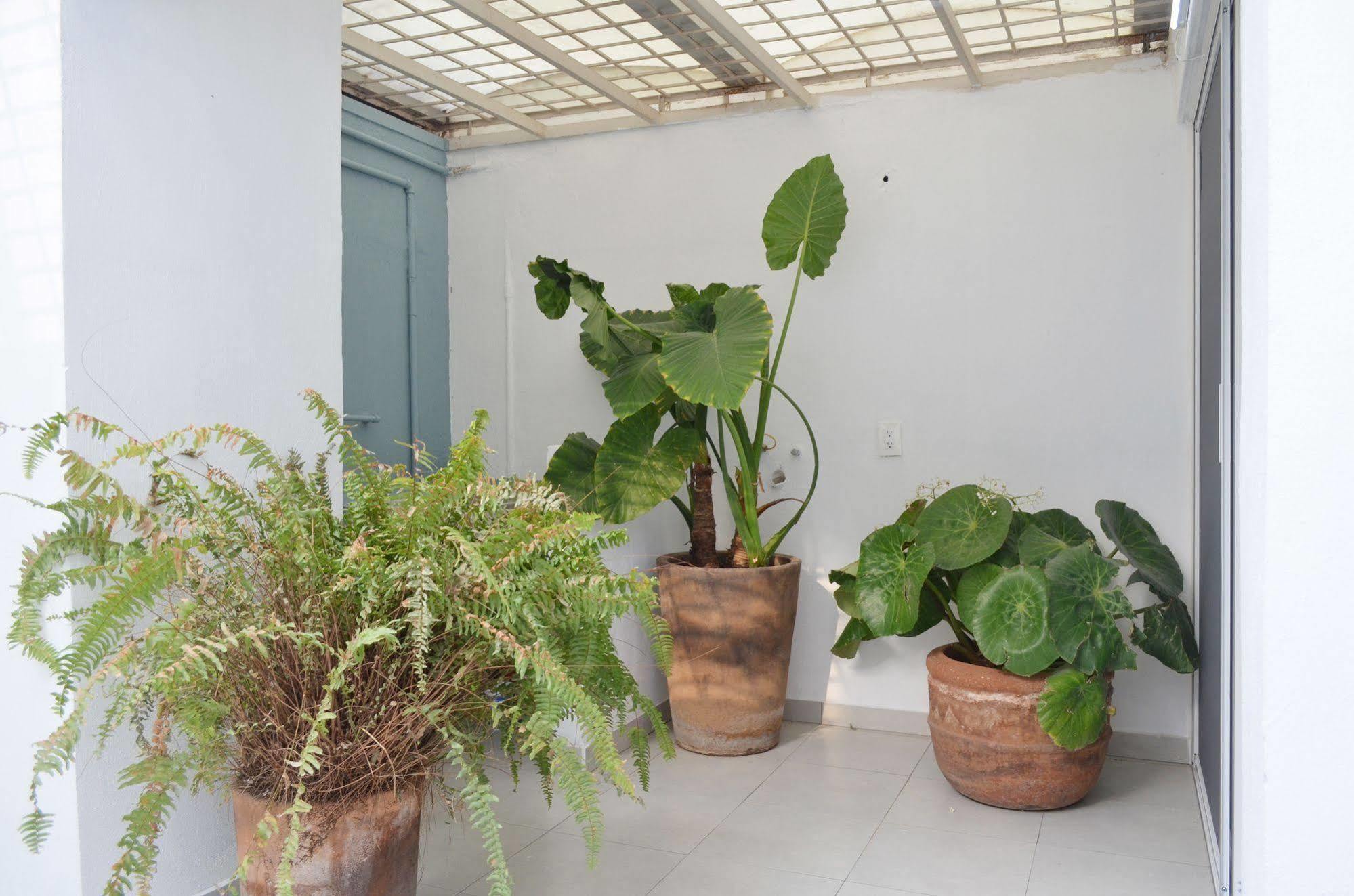 Departamento Mariano Otero Apartamento