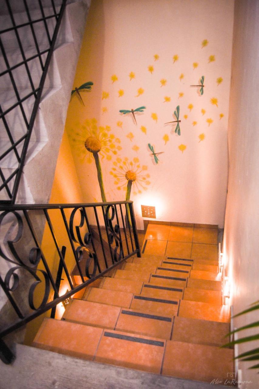 La Casa De Las Libelulas Guest house Guadalajara