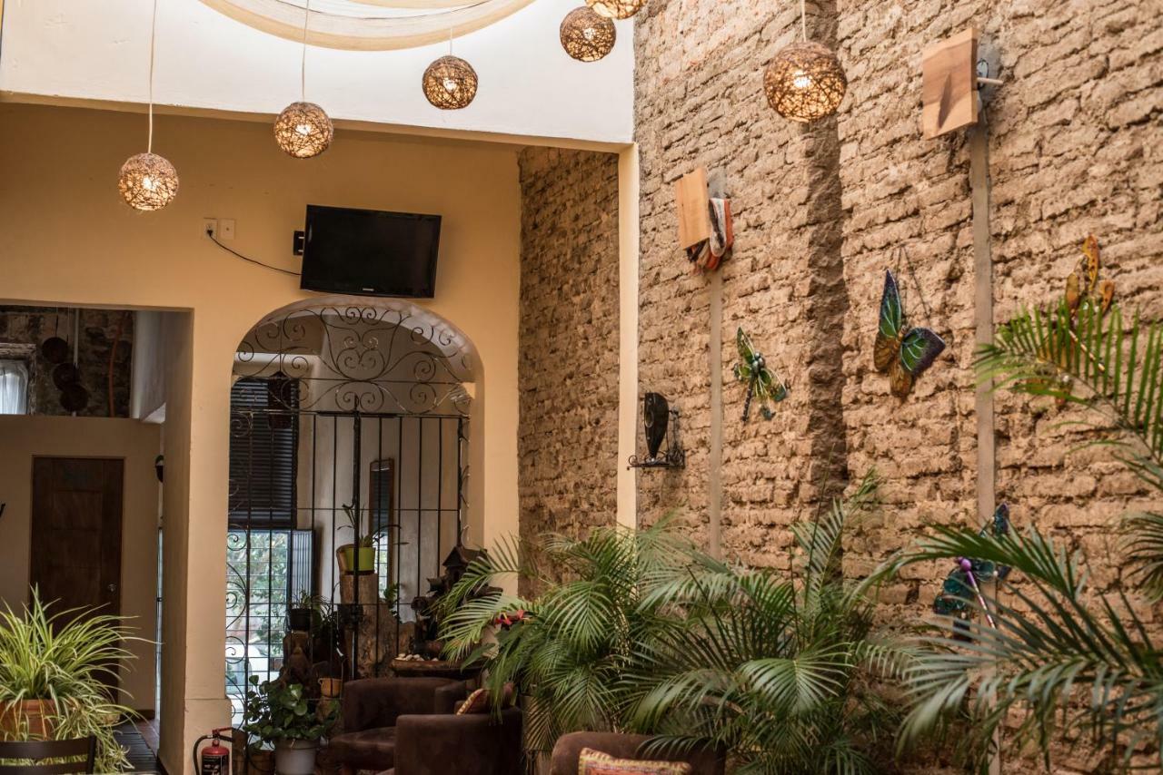 La Casa De Las Libelulas Guest house Guadalajara