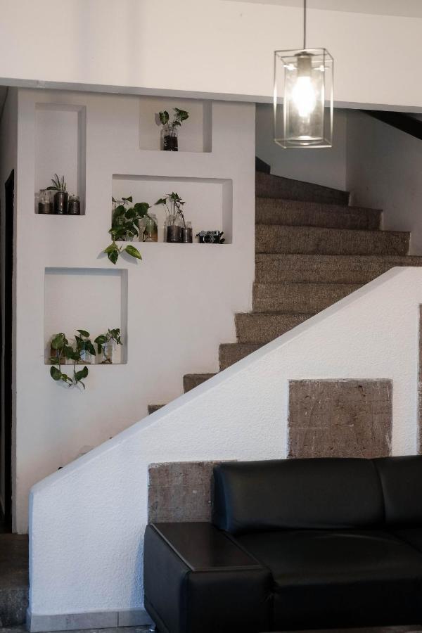 Hermosa Habitación En El Corazón De La Ciudad En Departamento Compartido Habitación en casa particular *