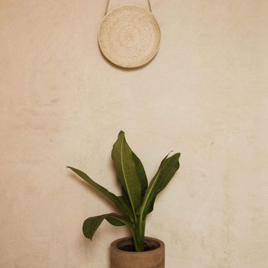Casa Montore By Barrio Mexico Hotel *