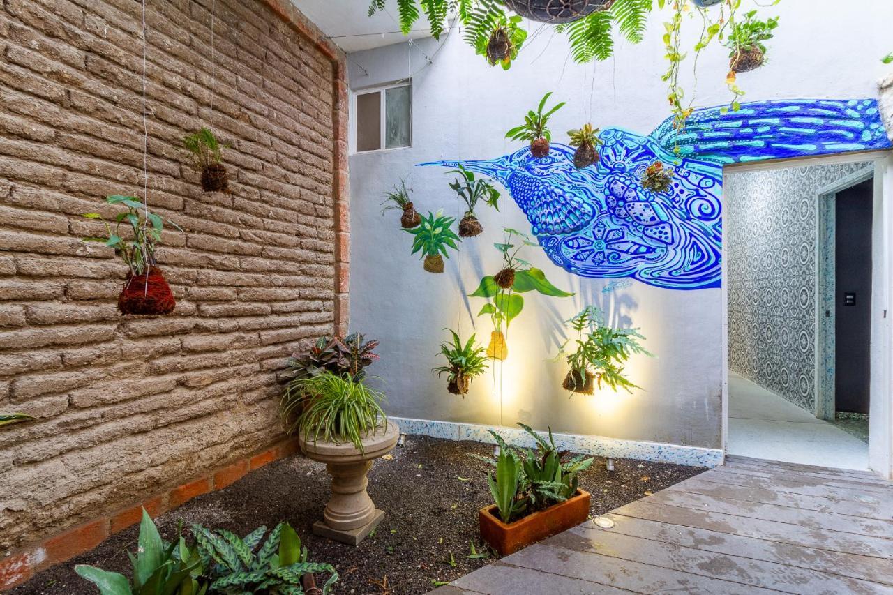 Akasha ● Ecohost & Walking Distance To Downtown