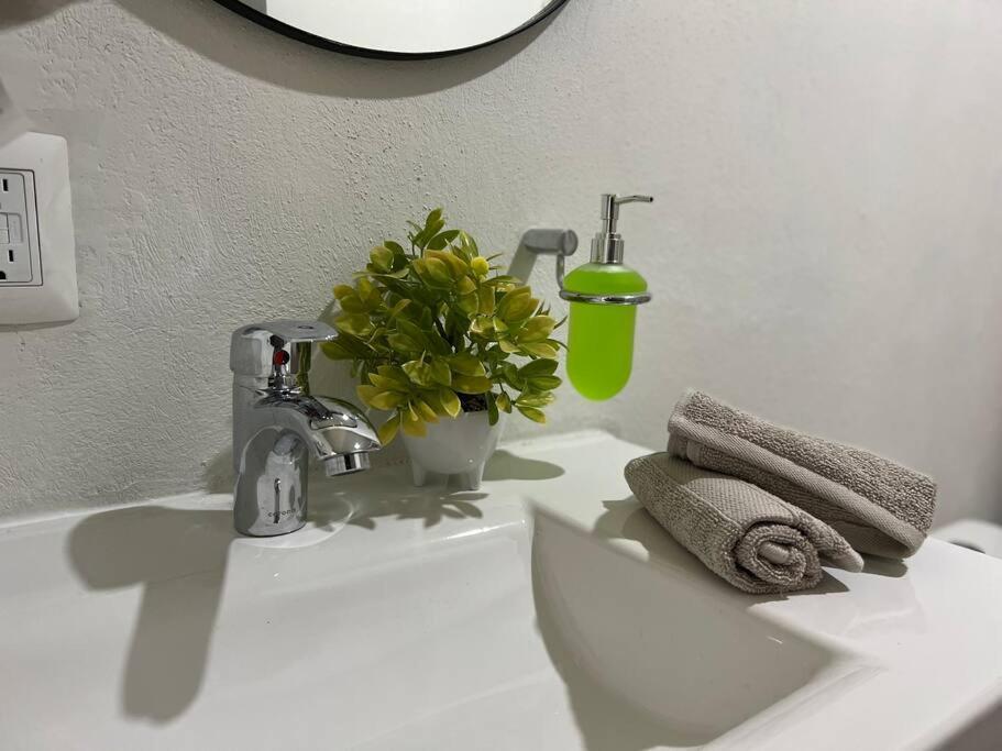 Depa Boho Al Sur Pet Friendly Piscina Gym Sala De Cine Apartment Guadalajara