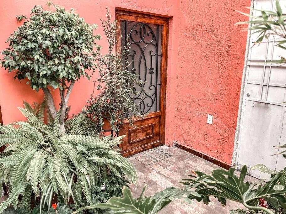 Hermoso Loft Cerca De Chapultepec Apartment Guadalajara